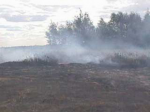 Восемь очагов горения торфа потушили за сутки в Усольском районе