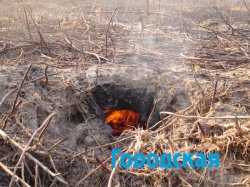 Торфяники в Усольском районе Приангарья потухнут в первой декаде ноября – Гидромет региона