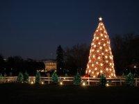 В Черемхово уже установили новогоднюю елку