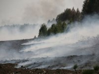 Торфяные пожары в Иркутской области обещают ликвидировать к весне