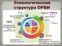 ОРВИ в Иркутской области находится ниже эпидемического порога на 45%