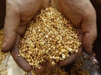 Шелеховчанин незаконно приобрёл более килограмма самородного золота