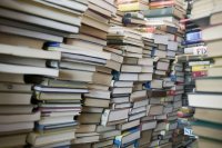Навести порядок в школьных библиотеках в Иркутской области призывает КСП