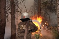 Причинами лесных пожаров в Приангарье в 2014 году стали слабые мониторинг и реагирование