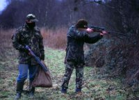 Жителю Усольского района грозит уголовное наказание за незаконную охоту