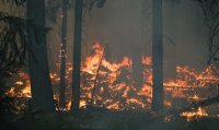 «Красный» уровень пожарной опасности в лесах присвоен Приангарью на август