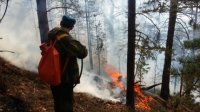 В Иркутской области за сутки ликвидировали треть лесных пожаров