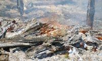 Около 30-ти тысяч га леса охвачено огнем в Иркутской области