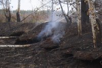 Тушить торфяные пожары в Усольском районе теперь ежедневно будут 2 автомашины специальной пожарной техники и 6 человек личного состава МЧС.