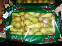 Около 2 тонн санкционных яблок, груш и помидоров уничтожат в Иркутске