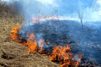 Усольские пожарные выехали на загорания сухой травы 76 раз