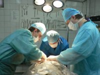 В ИОКБ хирурги провели уникальную операцию на сердце двухлетнему мальчику