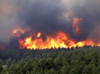 В Усолье и Усольском районе 15 мая произошло сразу 8 лесных пожаров!