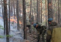 Режим ЧС введён в лесах Казачинско-Ленского района из-за опасности пожаров
