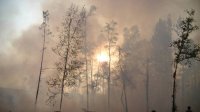 Самолет ИЛ-76 пропал в районе лесных пожаров в Иркутской области