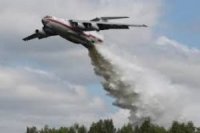 На месте крушения Ил-76 установили памятный крест и высадили 10 сосен