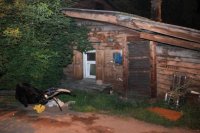 В Иркутске мать жила с трупом сына в одной комнате больше недели