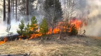 В тайге Ольхонского района полыхает пламя, в четырех МО Приангарья сохраняется пятый класс пожароопасности