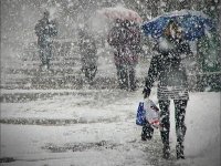 Непогоду в Иркутской области обещают ещё на сутки
