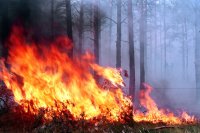 Пожароопасный сезон в Усольском районе закрыт