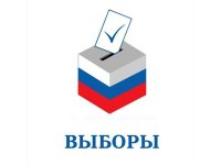 Вечный кандидат Карнаухов не принёс документы для участия в довыборах депутата ЗС