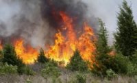 В Иркутской области за сутки зарегистрировали 32 новых лесных пожара