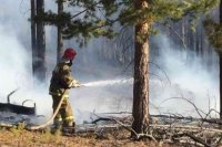 Все пожары на землях лесного фонда Иркутской области локализованы