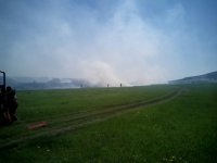 В Иркутской области 10 июля обнаружили и ликвидировали один лесной пожар