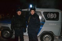 В Иркутске мужчина похитил 9-летнюю девочку и пытался совершить насилие