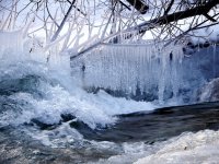 Тепло в Иркутскую область придёт 7 марта