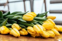 В Усолье-Сибирском директор магазина лишилась 12 тысяч рублей при покупке тюльпанов