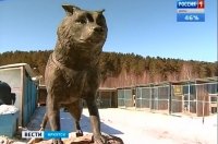 Аллею знаменитых собак откроют в иркутском питомнике «К9»