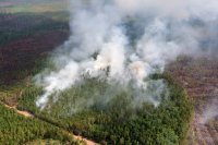 45 гектаров леса горит в Черемховском районе