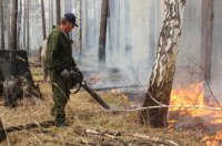 В Иркутской области на утро 14 мая не зарегистрировано лесных пожаров