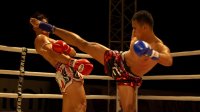 Усольчане привезли очередную награду с соревнований по тайскому боксу 