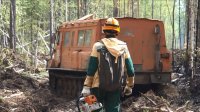 Два лесных пожара потушили в Иркутской области
