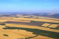 В Иркутской области приступили к уборке зерновых культур