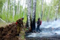 Лесники ликвидировали пожар вблизи поселка Порт Байкал