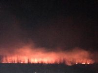 Пожарные остановили километровый фронт пала травы в 200 метрах от торфяника и садоводства в Усольском районе