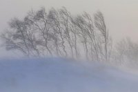 В Иркутской области ожидается ухудшение погоды 28 января