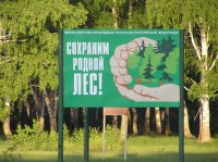 Почти 700 млн рублей направят на охрану и защиту лесов в Иркутской области в 2019 году
