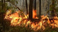 За минувшие сутки в Иркутской области ликвидировано 10 пожаров