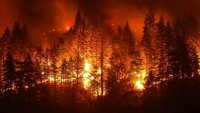 В Иркутской области лесные пожары подобрались к населенным пунктам