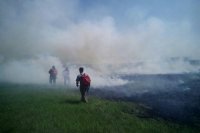 Самая большая площадь лесных пожаров по России зафиксирована в Иркутской области