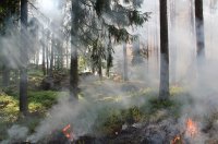 За минувшие сутки в Иркутской области ликвидировано 4 лесных пожара