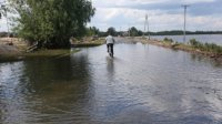 В Иркутской области паводком подтоплено свыше 550 домов