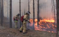 В зоне задымления из-за лесных пожаров оказались 37 населенных пунктов Иркутской области