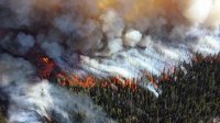 В СПЧ заявили об искажении данных о лесных пожарах в Иркутской области