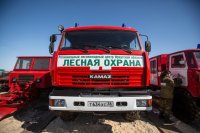 Пожароопасный сезон закрыли во всех лесничествах Иркутской области