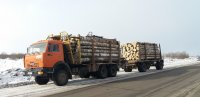 Иркутская таможня возбудила дела о контрабанде леса и невозврате в РФ более 228 млн рублей